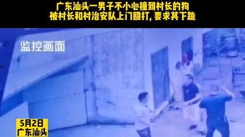 如何爆料村长的人呢视频,视频教你如何巧妙揭露真相