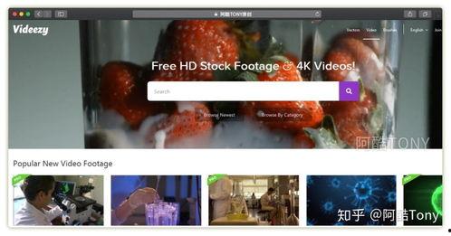 视频爆料素材网站免费大全,海量资源任你挑选