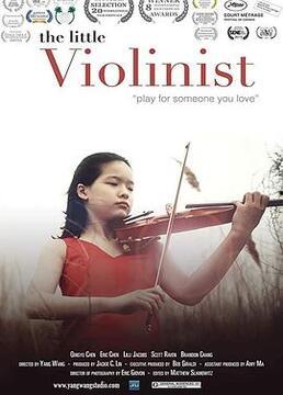 小提琴家故事视频爆料在线观看,视频爆料带你领略艺术魅力