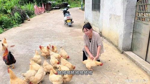 想摸老公鸡鸡,揭秘想摸老公鸡鸡的甜蜜瞬间