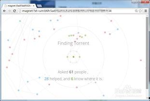 最新种子无码磁力链接,解锁海量资源新体验